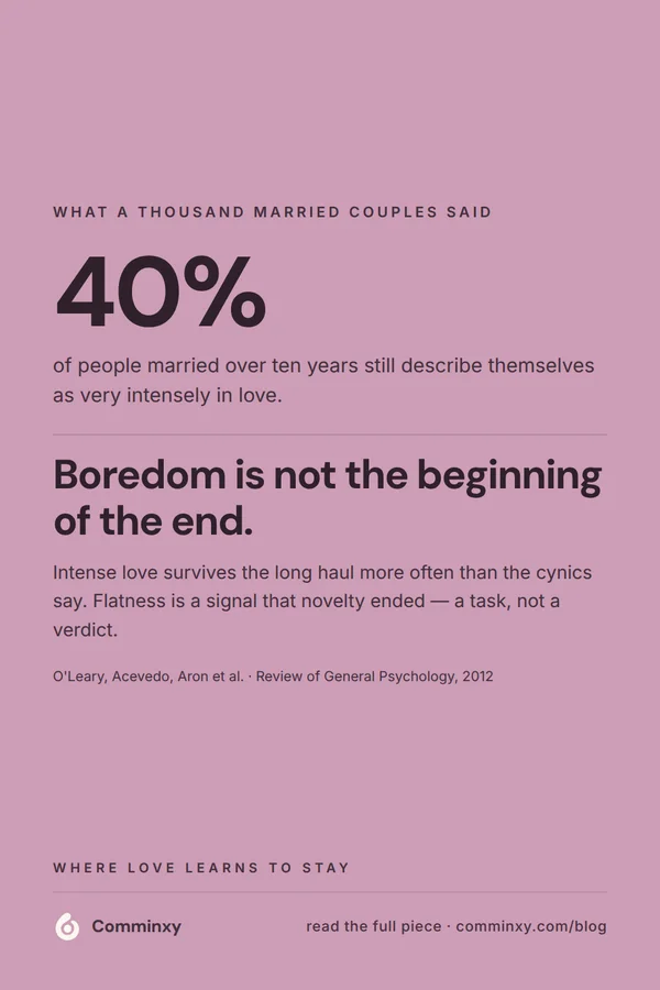Relationship research card: 40% of people married over ten years are still very intensely in love — boredom is not the beginning of the end.