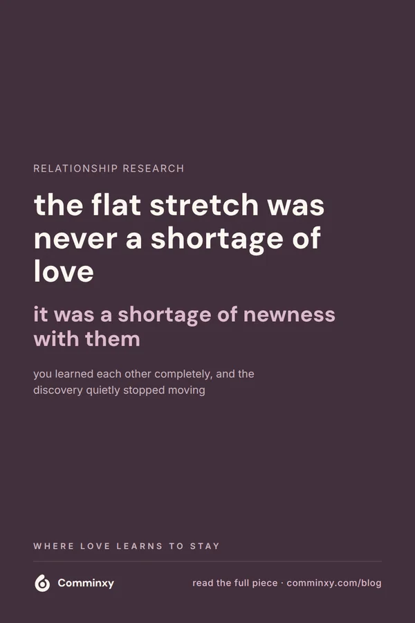 A plum pin reading the flat stretch was never a shortage of love, it was a shortage of newness with them.